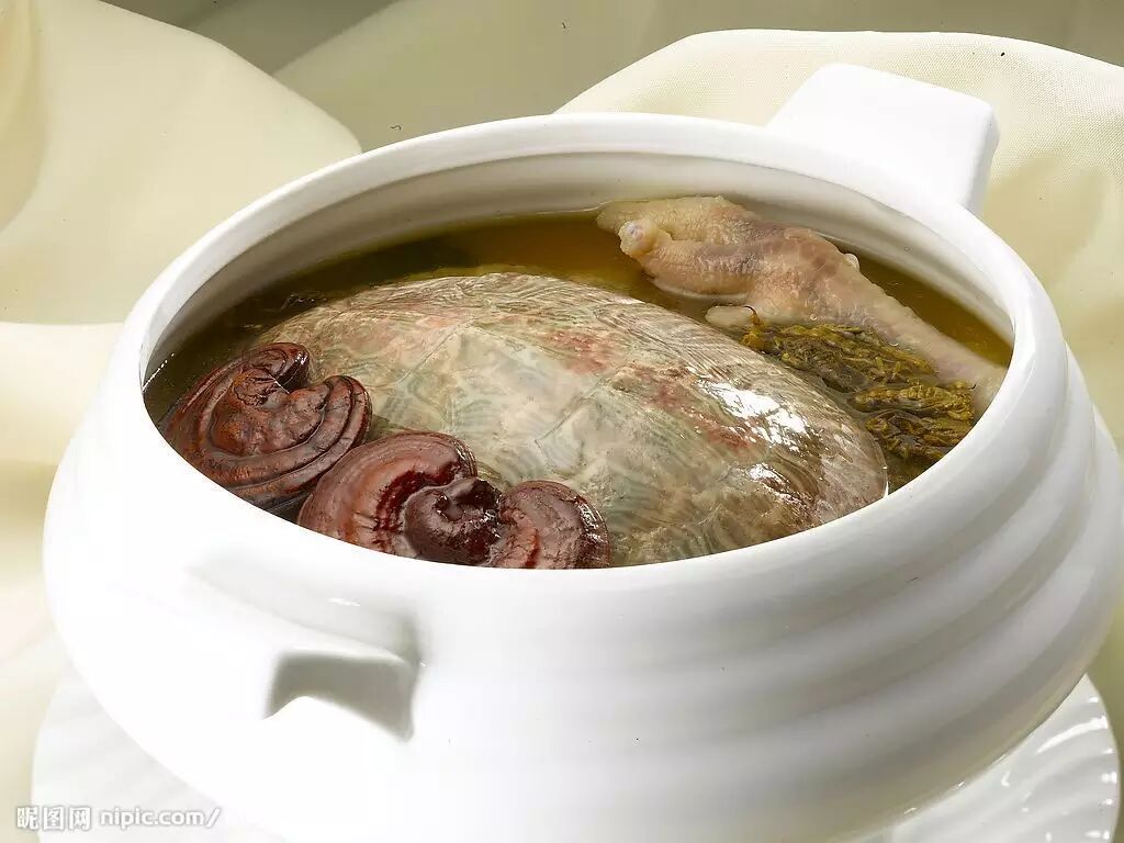 01 祛湿解毒 茯苓草龟炖蝎子 草龟肉味甘,咸,性平,具有养阴补血,益肾