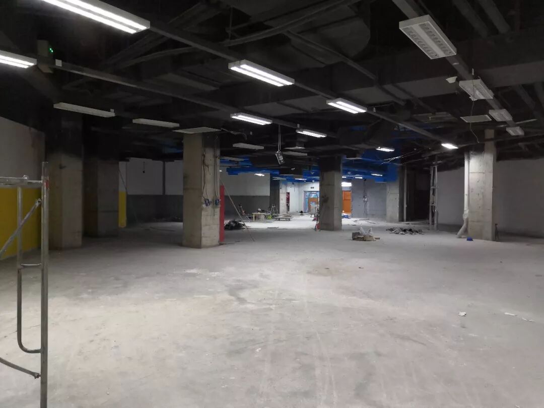 小龙马*木马王国*杭州店