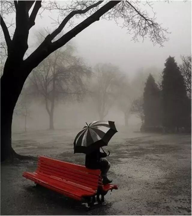 夜读| 一直说等我有空 一个"等"字让人望眼欲穿_长江云 - 湖北网络