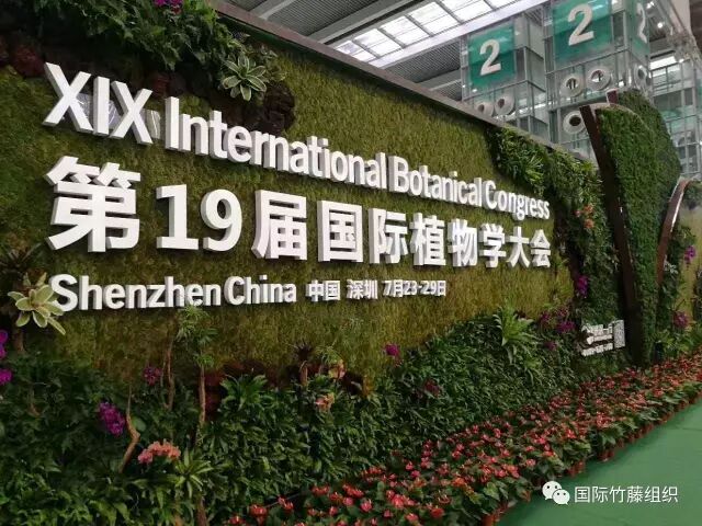 聚焦丨竹藤魅力绽放第十九届国际植物学大会 Inbar