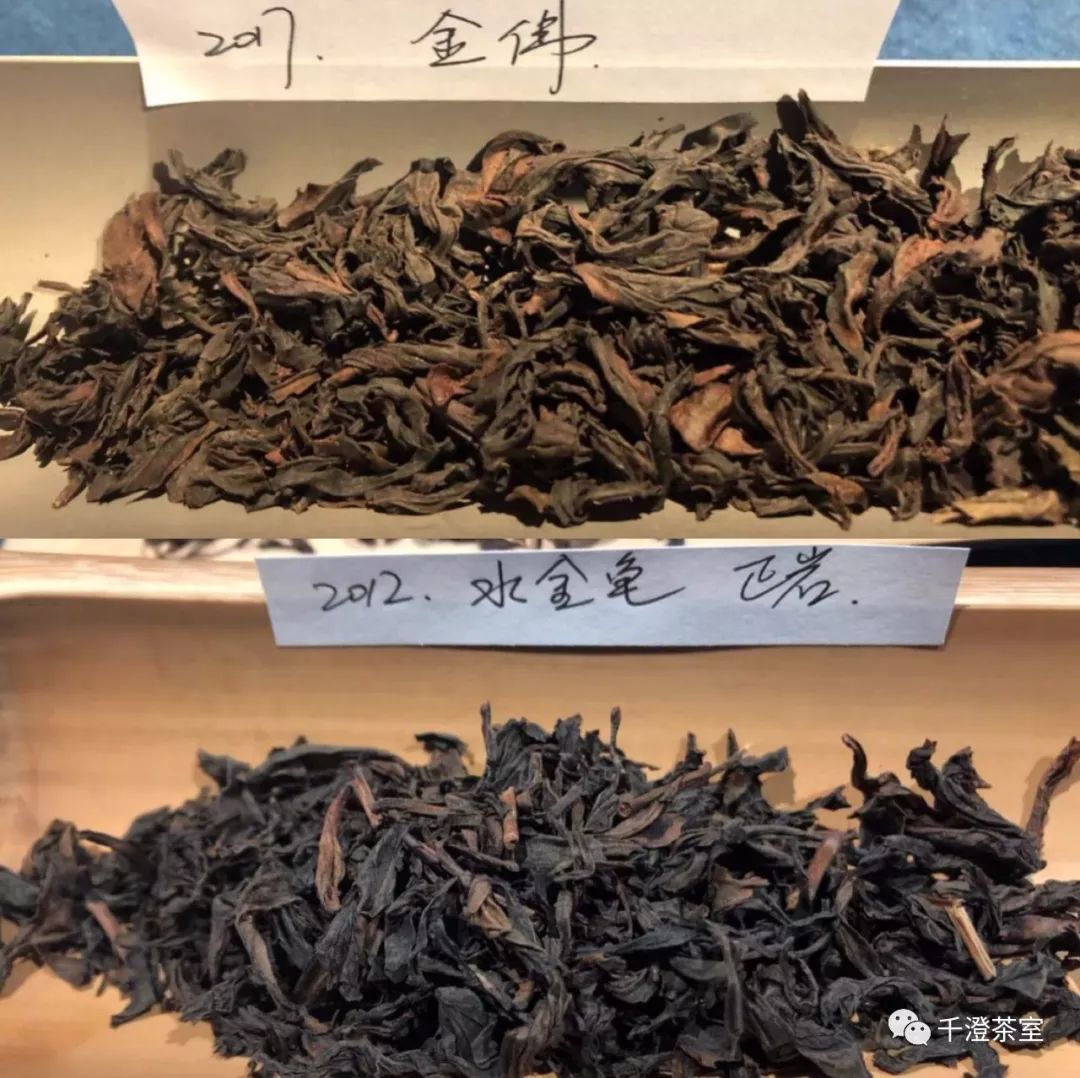 一道茶一片天—岩茶品赏课第五课小记