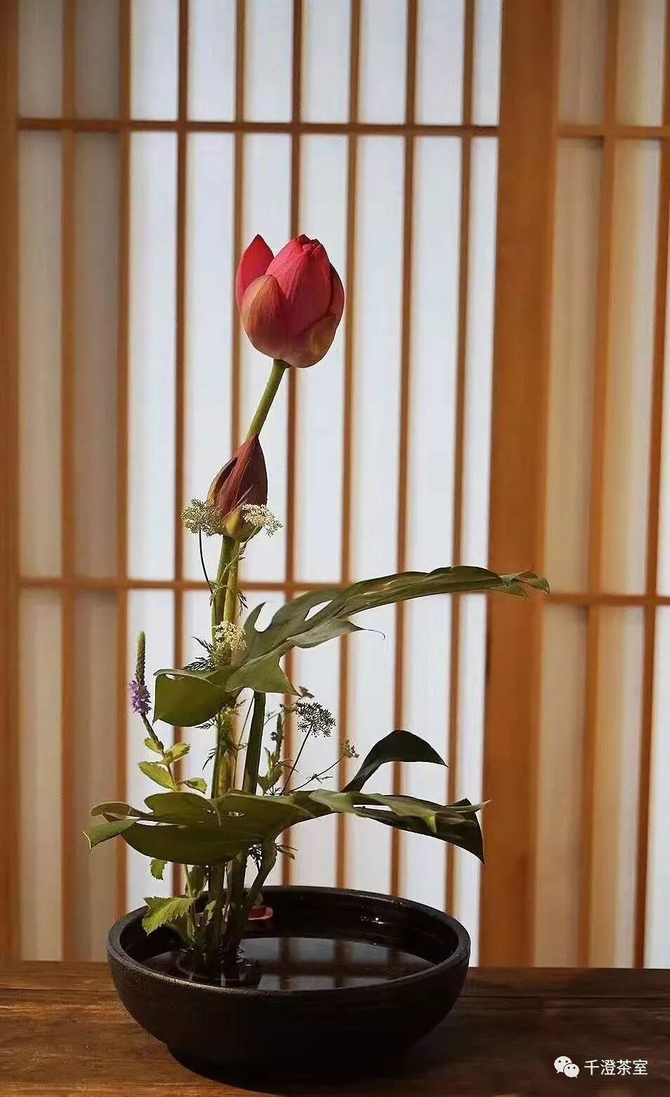 千澄茶室中国传统插花第4期招生简章 千澄茶室 微信公众号文章阅读 Wemp