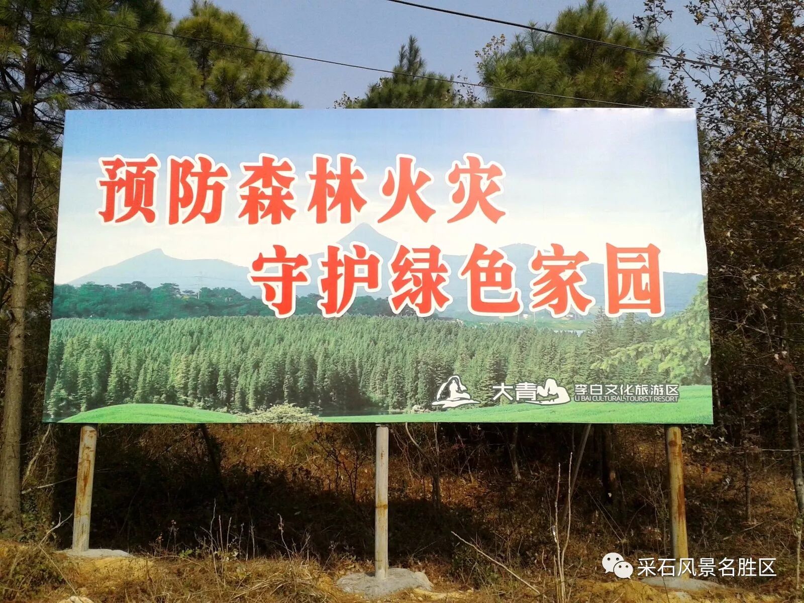 充分利用悬挂宣传横幅,树立防火警示标语,张贴森林防火倡议信,开通