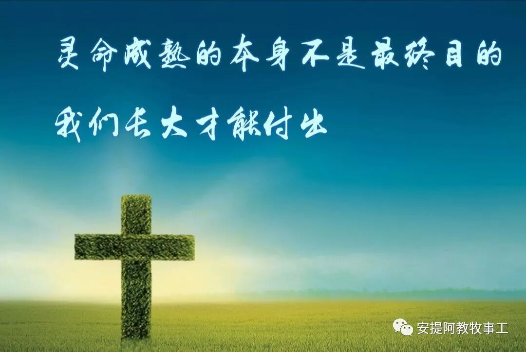听|《标杆人生》•接受你的任命