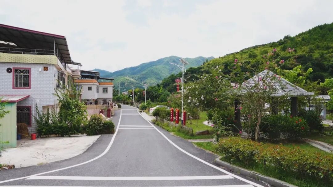 隆文镇凝聚社会力量助推百千万工程见实效