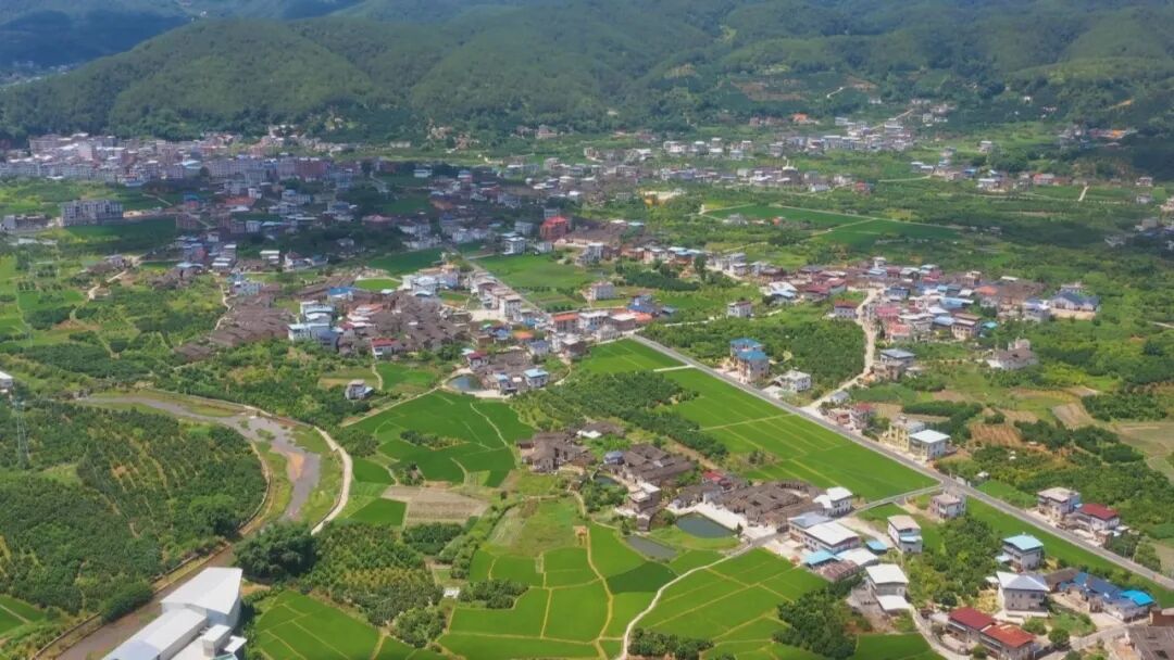 隆文镇凝聚社会力量助推百千万工程见实效