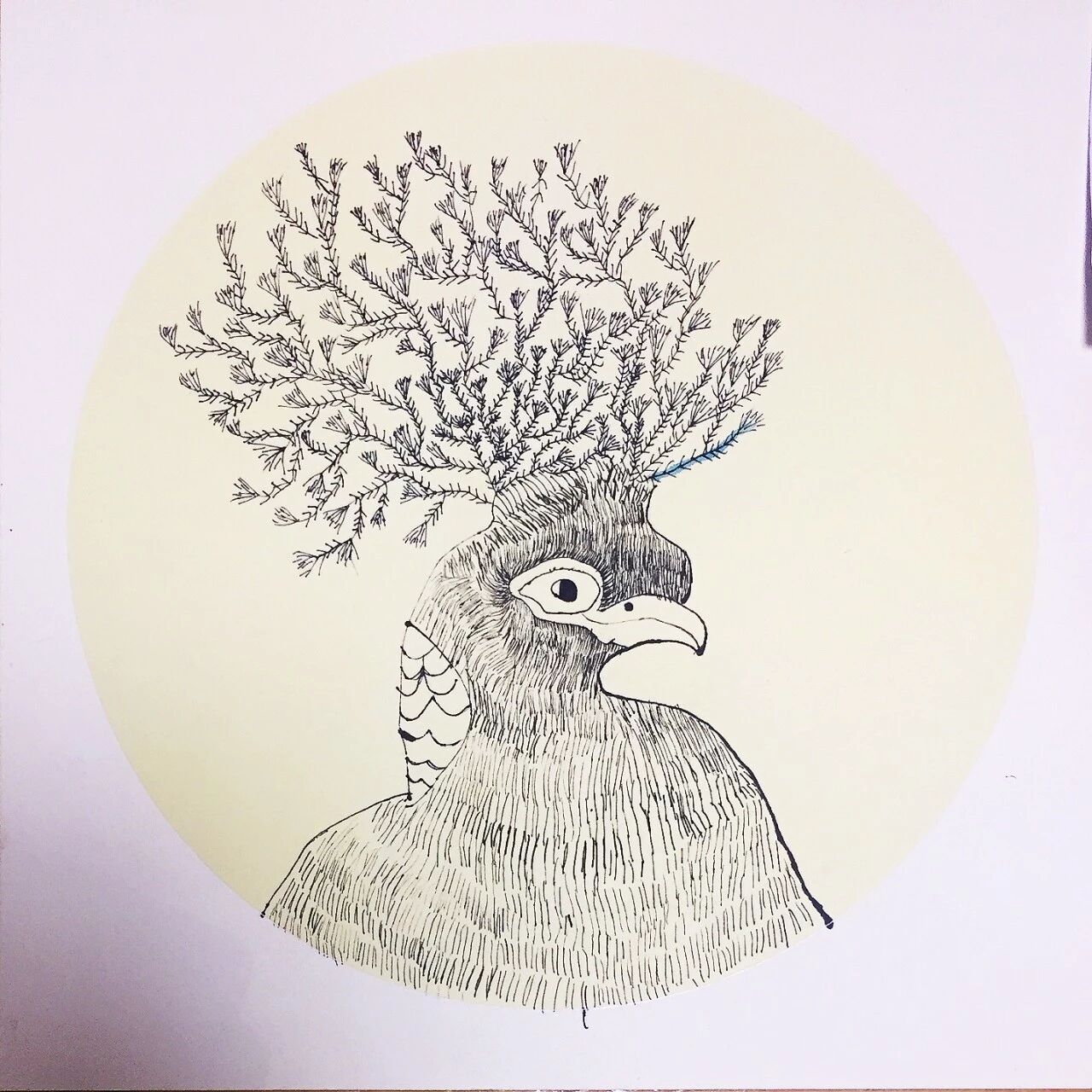 北京逸伦科技有限公司