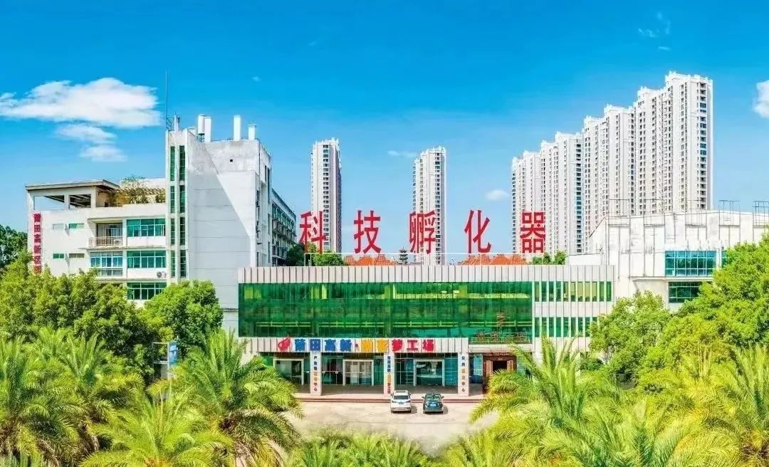优秀！全省推广！涵江区这一典型经验做法上榜！