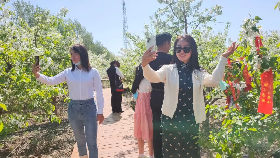 达人们畅游花海，用手中相机记录美好时刻