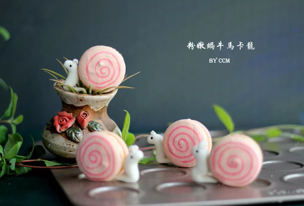 阜阳烘培培训 阜阳蛋糕培训 阜阳私房烘培培训 崇尚烘焙培训学校欢迎您 颜值系甜品 成功率极高的 蜗牛马卡龙 Fyhppx Com