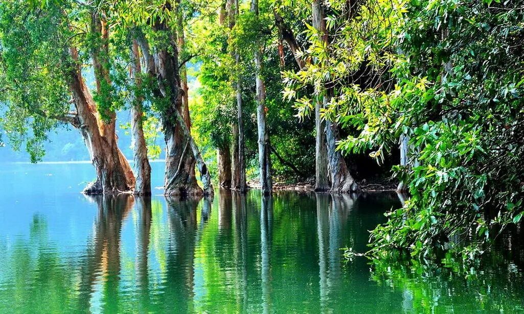 蓄水池图片卡通_蓄水池什么意思_蓄水池图片