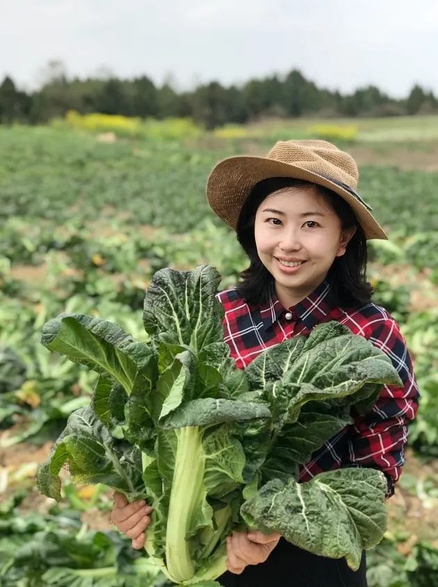 中央台致富节目有哪些_中央致富经是真的假的_中央7套致富经