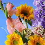 限量花瓶￥9.9抢！小满主题花首发，鲜花买1年收58束