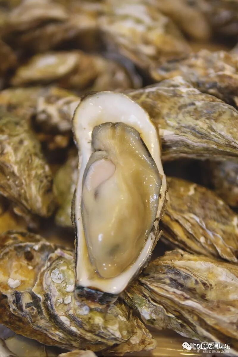 镇江爱吃蒜泥生蚝的人多嘛我花了49块钱吃了50个好爽