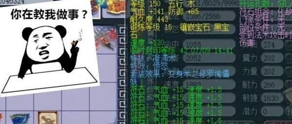梦幻西游电脑版：不得了！只镶嵌12锻宝石就拿了武神坛亚军？这个地府有意思...