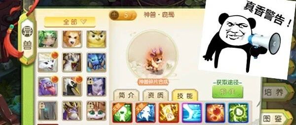 仙府同居上演宫斗大戏？这款回合社交有点意思