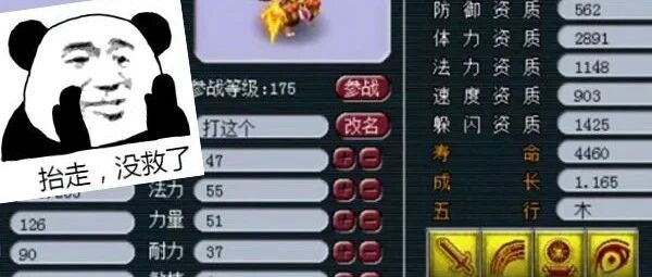 西游那些事 | 新爆的千伤神器，玩家自己都笑开花了！9技能善恶童子追书，却追了个寂寞...