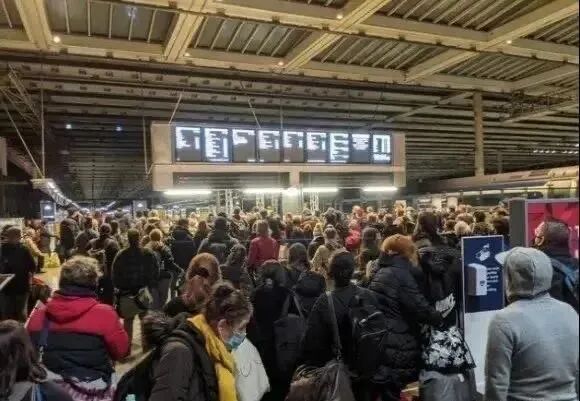 伦敦封城爆发逃离潮，居然还有狗夸英国！