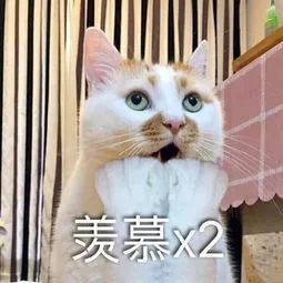 2021春节放假通知!-微信头条网 2021春节放假通知!