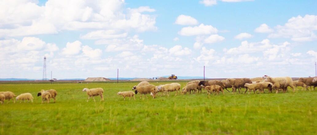 高铁最快47分钟直达!北京周边这些城市人少景美，赶紧安排上!