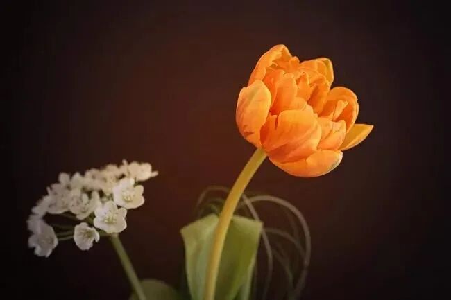 其实，善良的人，根本不会吃亏