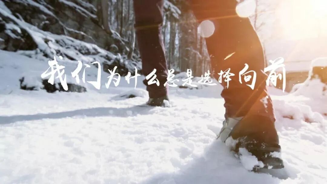 2024新年，具有三颗心，才能稳健昂扬欢喜地向前行！