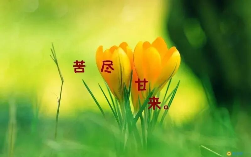 与不幸而坚强的人比一比，你就没资格怨天尤人了