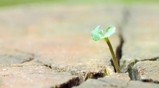 人生突遭“绝路”时，一定要找到活下去的力量