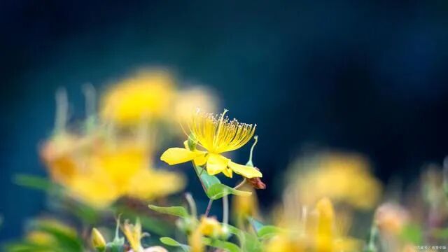 不要被他人所影响，活好你自己