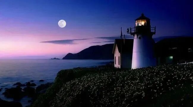 人间去哪里找盼望？