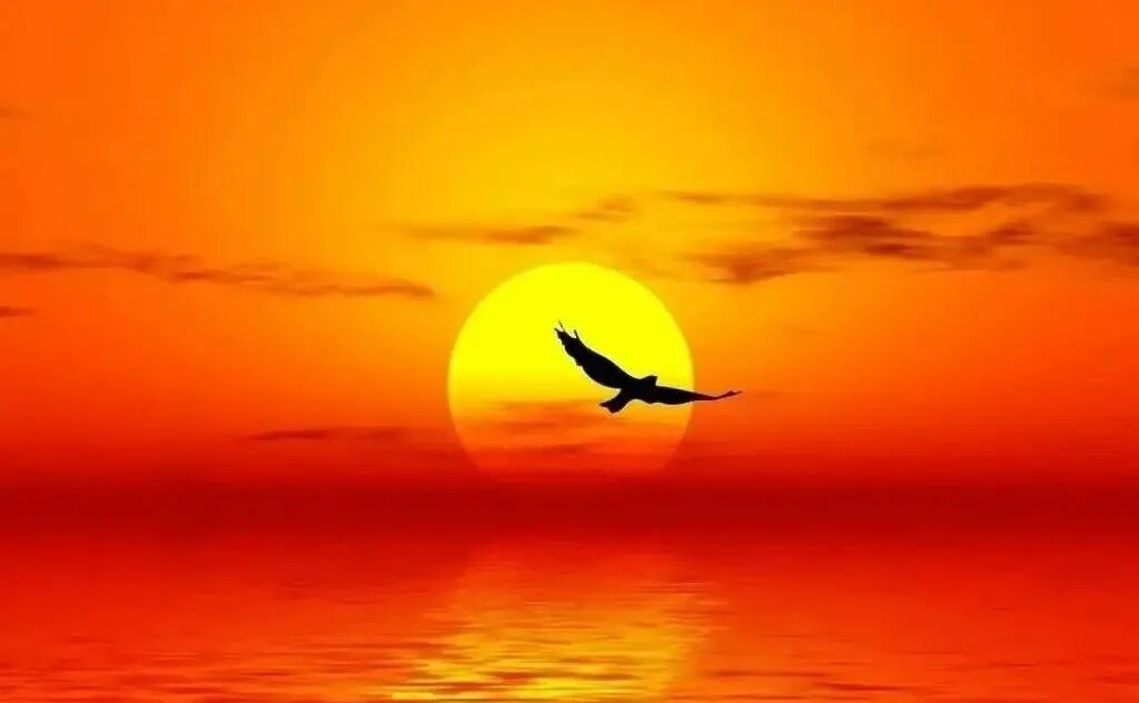 抬起头来，朝向阳光