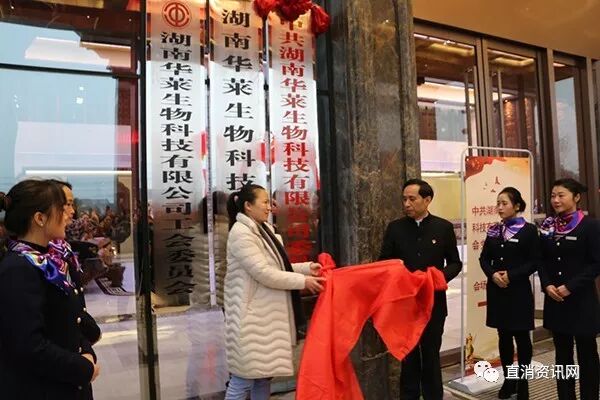 细说华莱健安化黑茶九大亮点！五大收入、六大价值、