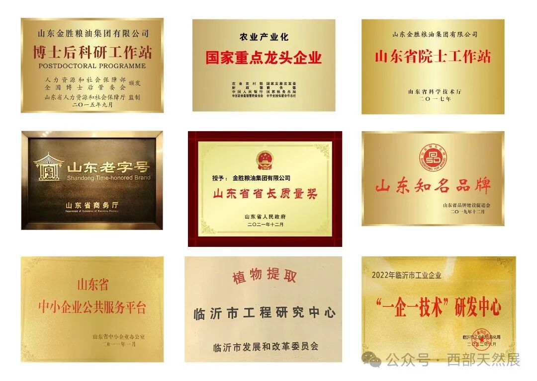 荣誉证书.jpg