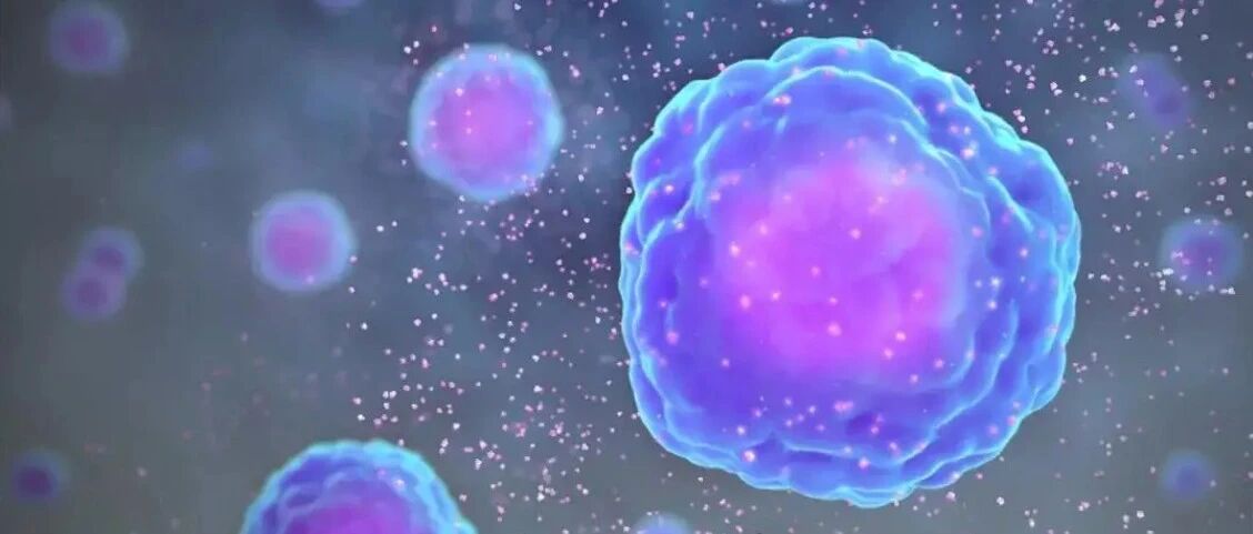 2022-08-19药事资讯