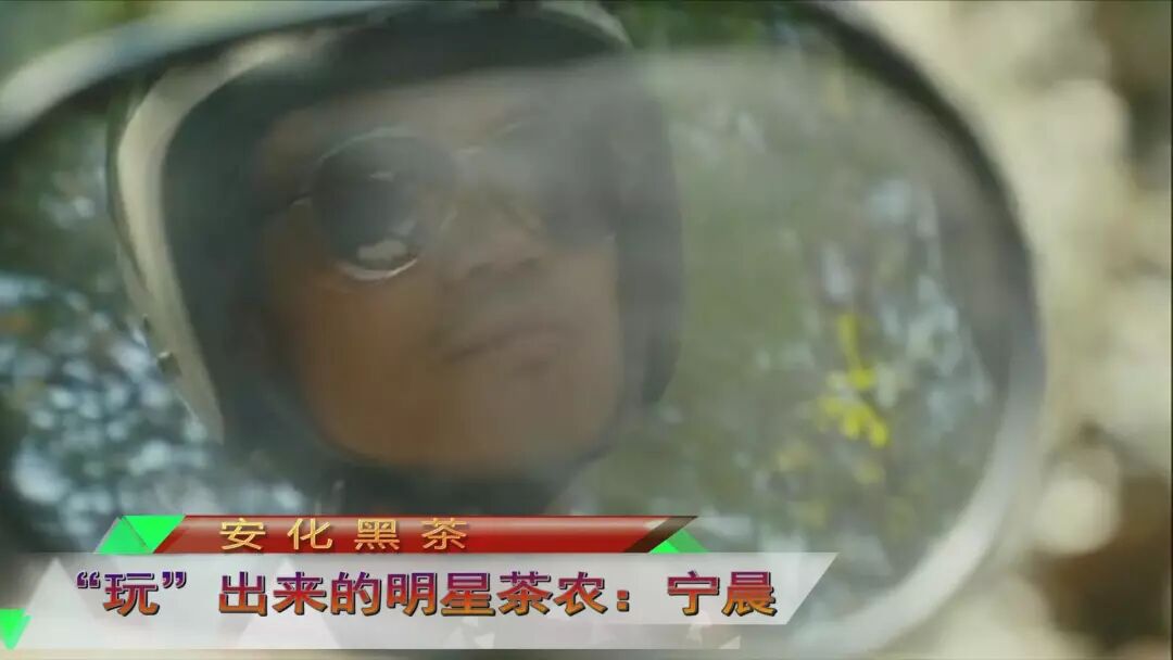 安化黑茶 | “玩”出来的明星茶农：宁晨