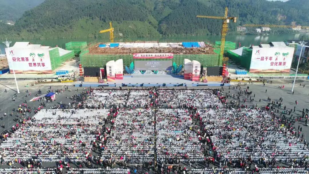 海量美图带你看第四届湖南·安化黑茶文化节开幕式