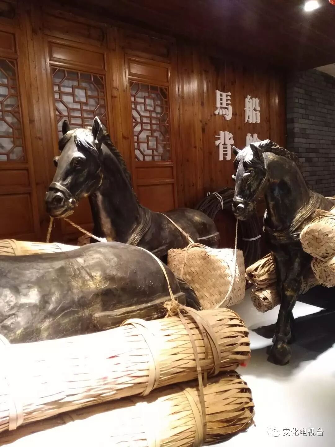 省委书记亲自批示宣传安化黑茶