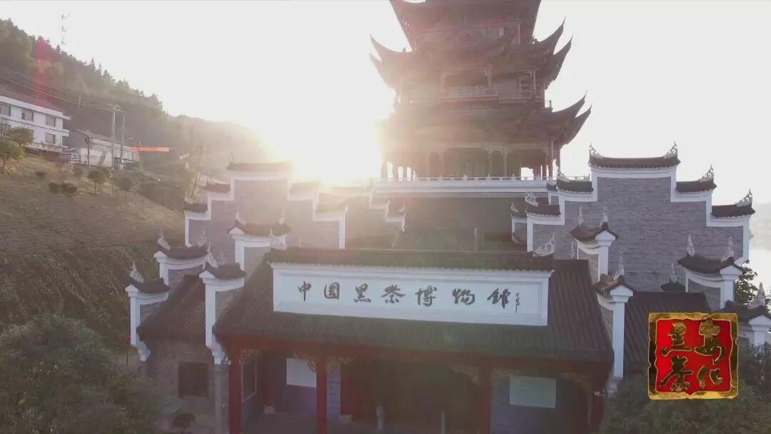 安化黑茶 | 寻找镇馆之宝—铜钟，将我们带回了那个安化黑茶贸