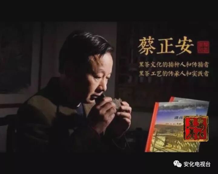 安化黑茶 | 一位学者的情怀与坚守！
