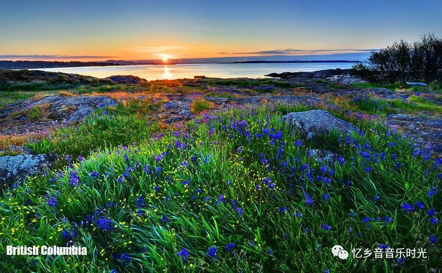 《哦！加拿大》（OhCanada）