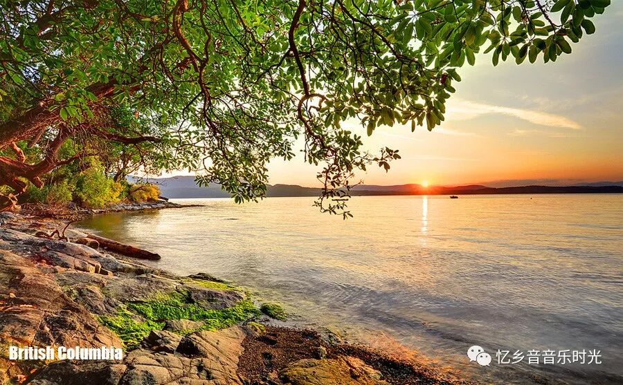 《哦！加拿大》（OhCanada）