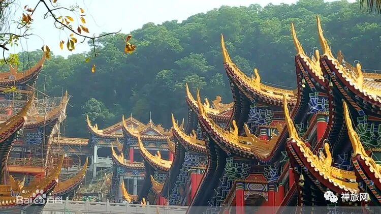 禅修丨广东东莞观音寺2021年8月1日至8月3日第一期自然禅修班通启​