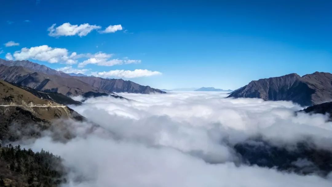 高清图片素材 成长树_高清图片素材 成长树_榴莲树高清图片