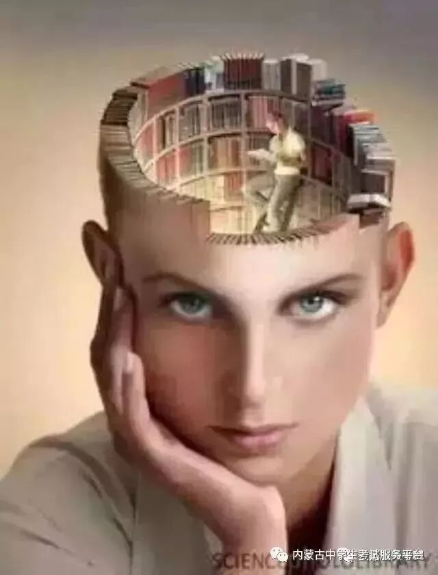 英语leaves什么意思_leaves是什么意思英语_是什么意思英语leave