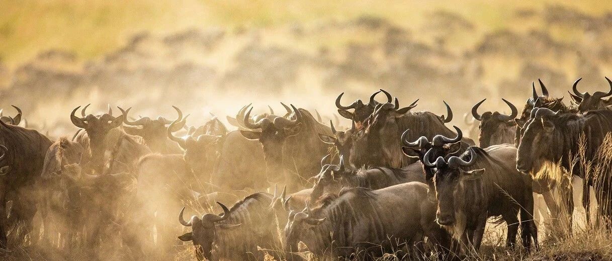 信仰逐个重摔时，这两个方向爆了