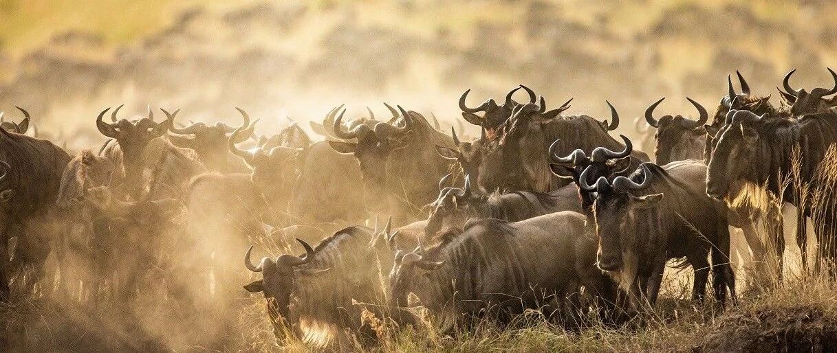 全球股市集体反弹！原油大涨6%，美元疲软提振风险资产