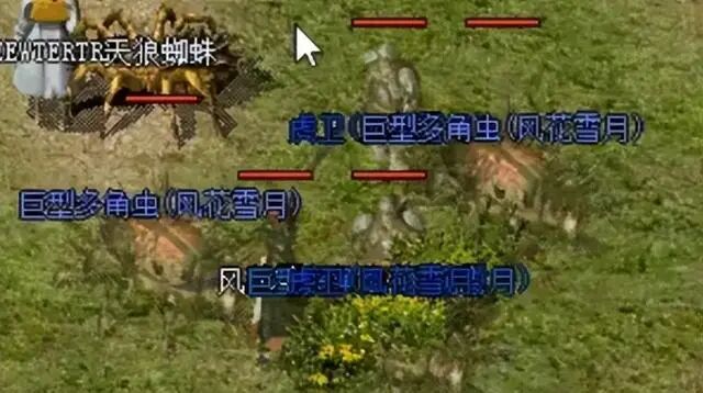 热血传奇：法师当年必召宝宝，虎卫攻击最差，却人手一只