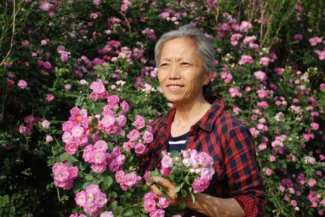 天福园：从城市金领到乡野村妇，农业已是她的生活