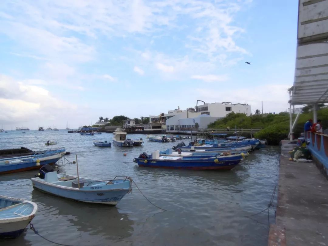 它來了，它帶著海島喜好者的終極夢想來了！ 旅遊 第16張