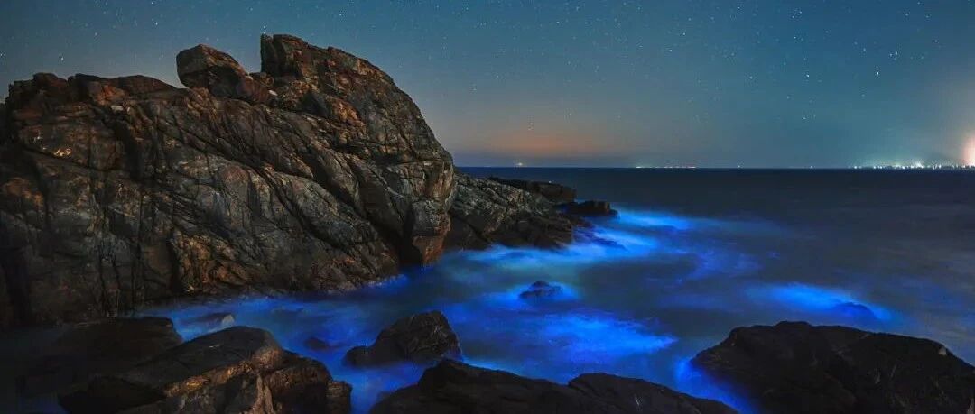 坐上动车，从“蓝眼泪”到美食之城